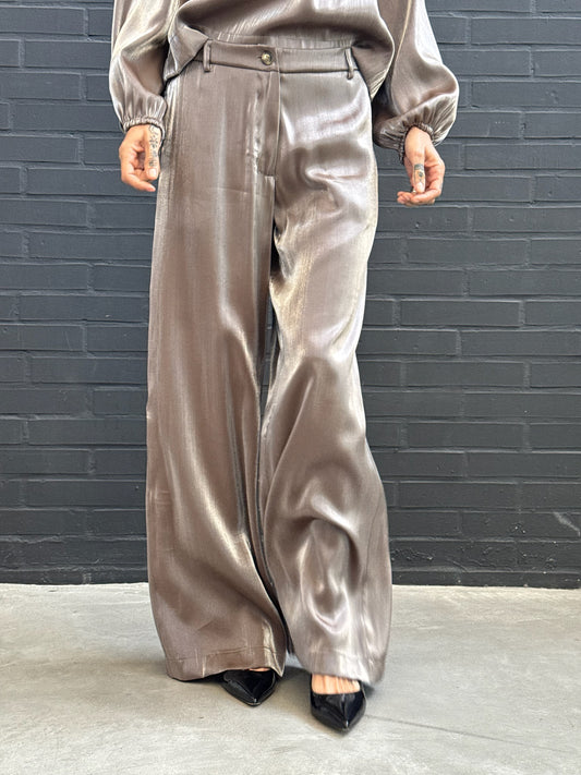 Wide iridescent pants